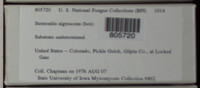 Image Associated With the Occurence